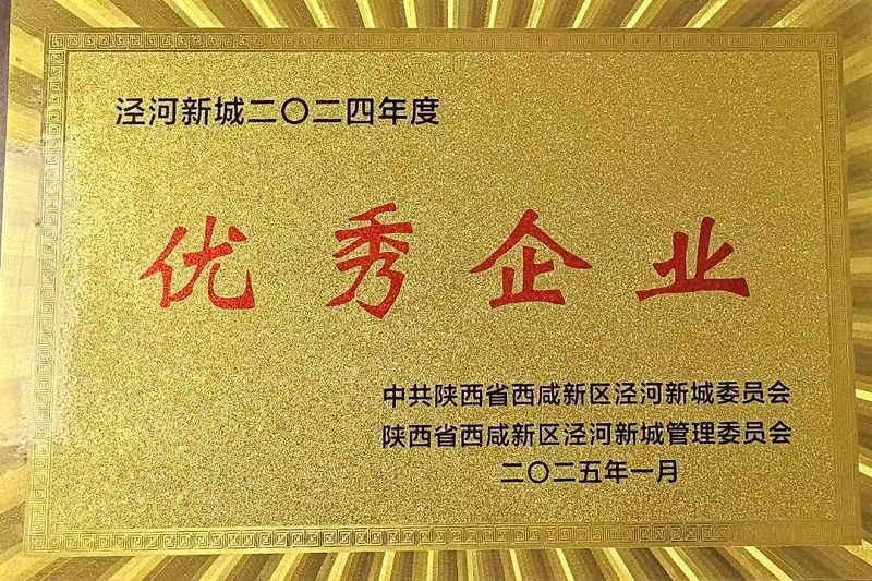 泾河新城2024年度优秀企业.png
